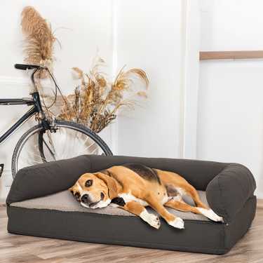 Cama ortopédica para perros 100 x 70 x 27 cm con respaldo talla M